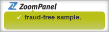 ZoomPanel and ZoomPanelTech from MarketTools