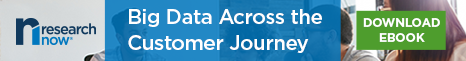 Download Research Now's eBook 'A Research Perspective on Data-Driven Marketing'