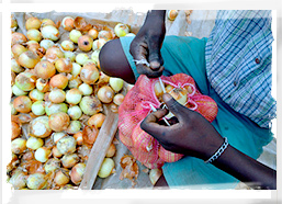 The onion seller, Zambia