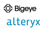 Bigeye receives investment from Alteryx