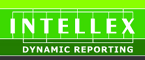 Intellex Dynamic Reporting