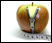 Segmentation and Modelling