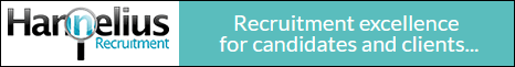 Recruitment excellence for candidates and clients - Hannelius Recruitment