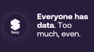 Suzy - decisions are the new deliverable. Meet your decision engine.