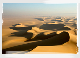 The Sahara Desert, Algeria