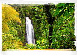 Trafalgar Falls, Dominica