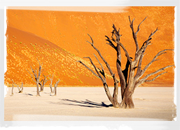 Sossusvlei, Namib Desert