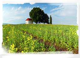 Spring landscape, Slovakia