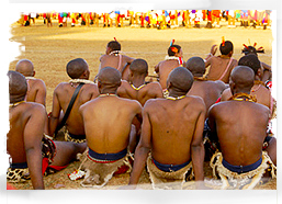 At the Reed Dance, Swaziland