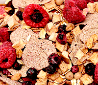 Mordor Launches Baked Foods & Cereals Data Platform