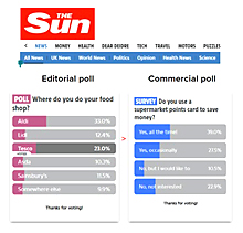 Sun Polls Opened Up to Brands and Academics