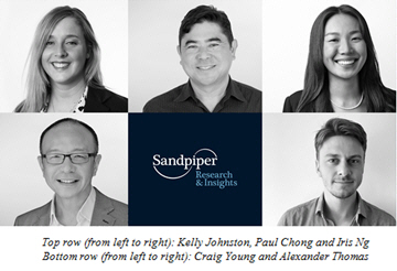 Sandpiper Research & Insights